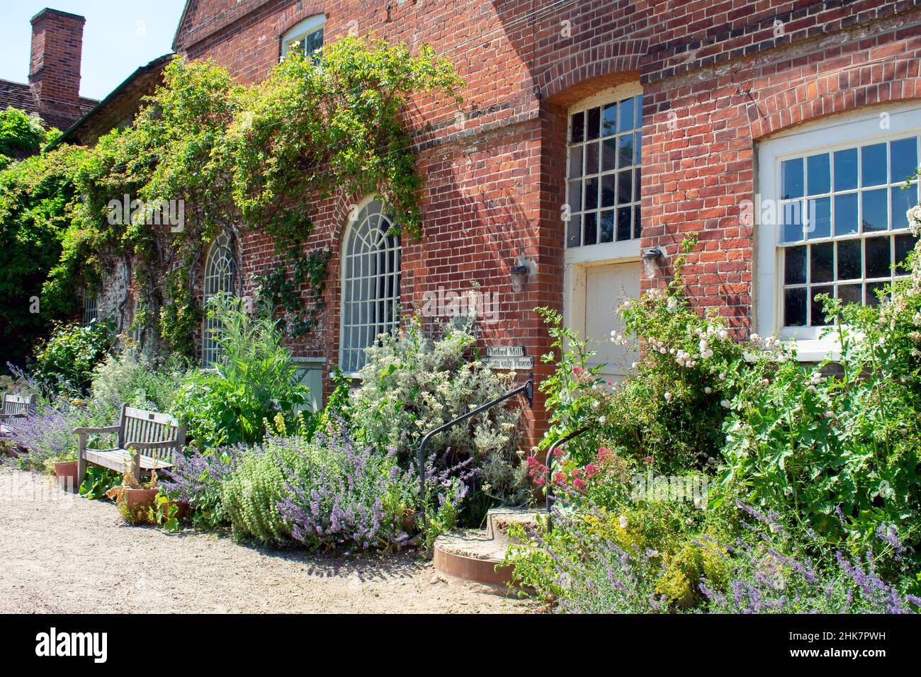 The brickwork and plants of Flatford Mill, Operated by the National Trust in Suffolk, England. A wooden bench sits amongst the foliage. Stock Photo