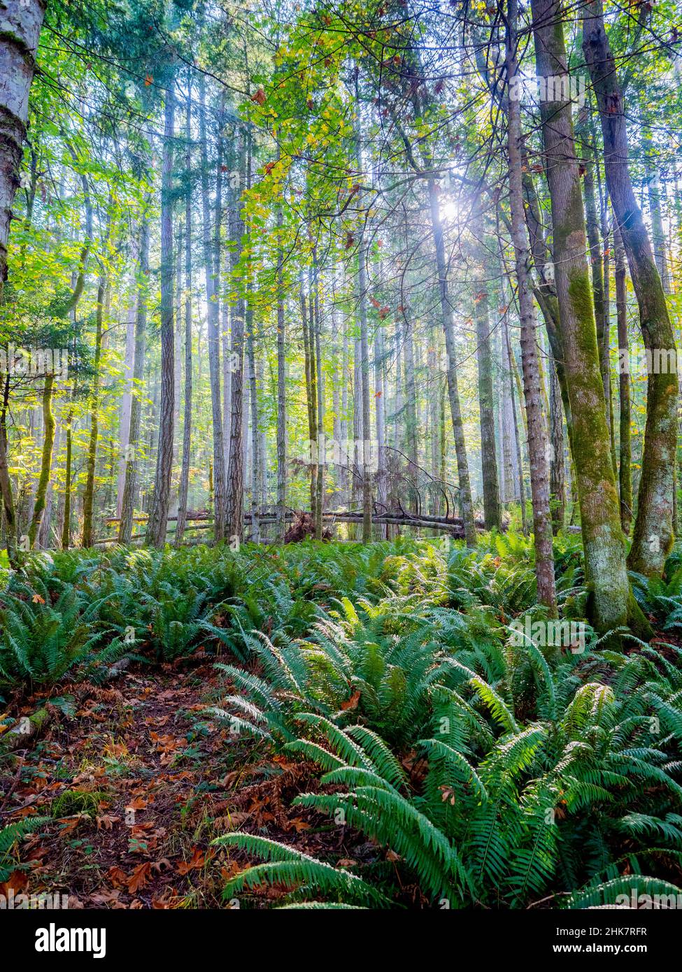 Tall vertical shot hi-res stock photography and images - Alamy