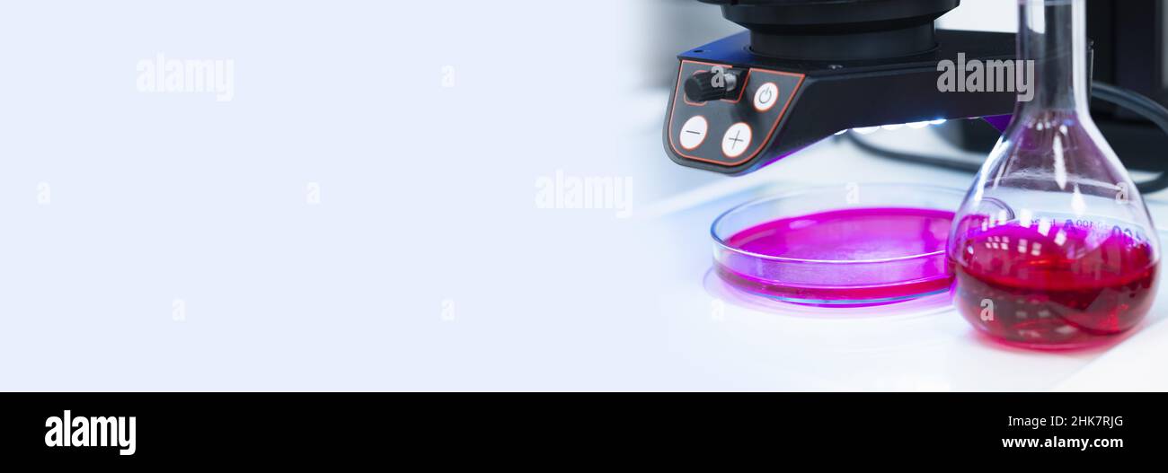 Banner of chemical laboratory with Petri dish, flask with red blood sample and microscope with copy space. Oncological, HIV, blood or DNA analysis concept Stock Photo