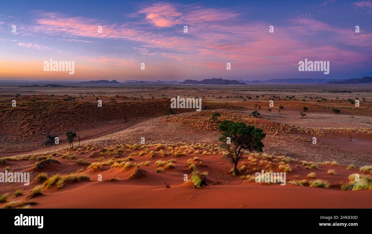 Fantastic purple sunset over a desert with red sand at Gondwana in Namibia Stock Photo