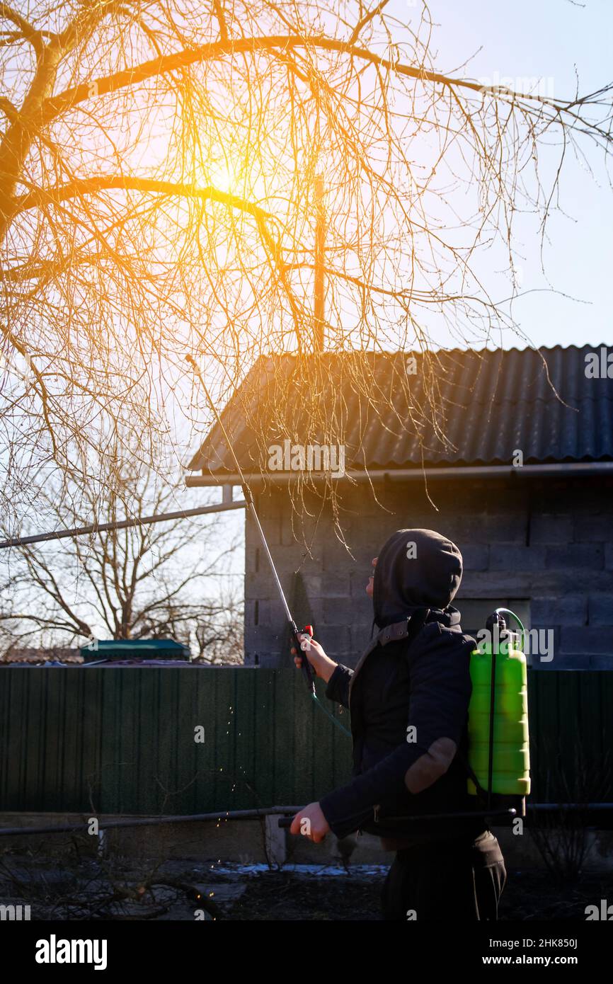 Spray pesticides, pesticide on tree. Defocus farmer man spraying tree