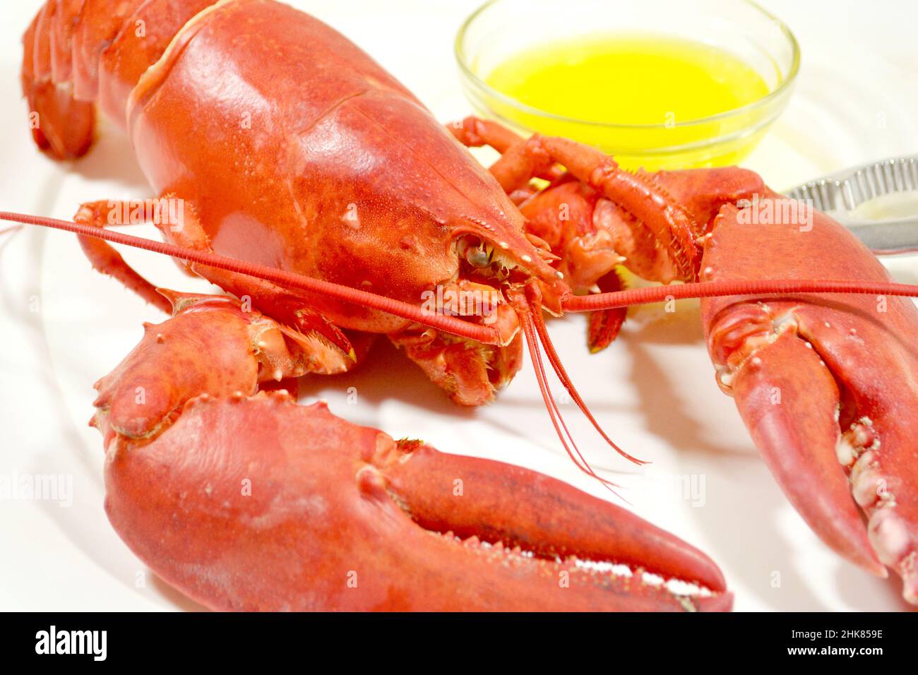 Eating a Delicious Cooked Lobster with Melted Butter Stock Photo Alamy