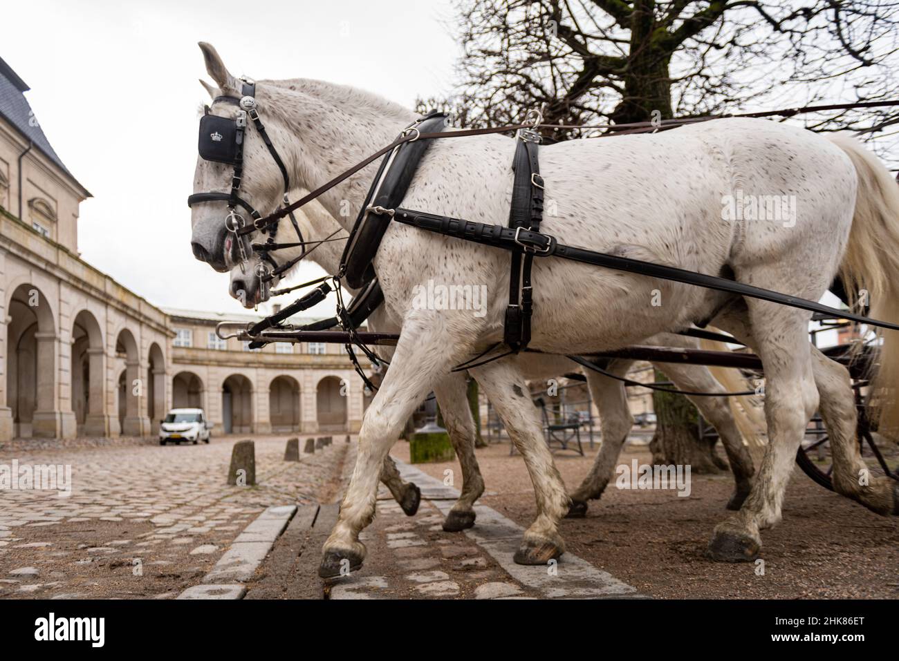 Danish royal palace carriage hi-res stock photography and images - Alamy
