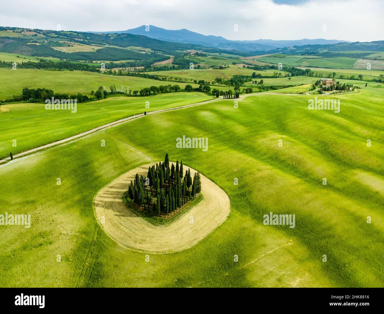 Stunning aerial view of green fields and farmlands with a group of cypress trees in the middle. Summer rural landscape of rolling hills, curved roads Stock Photo