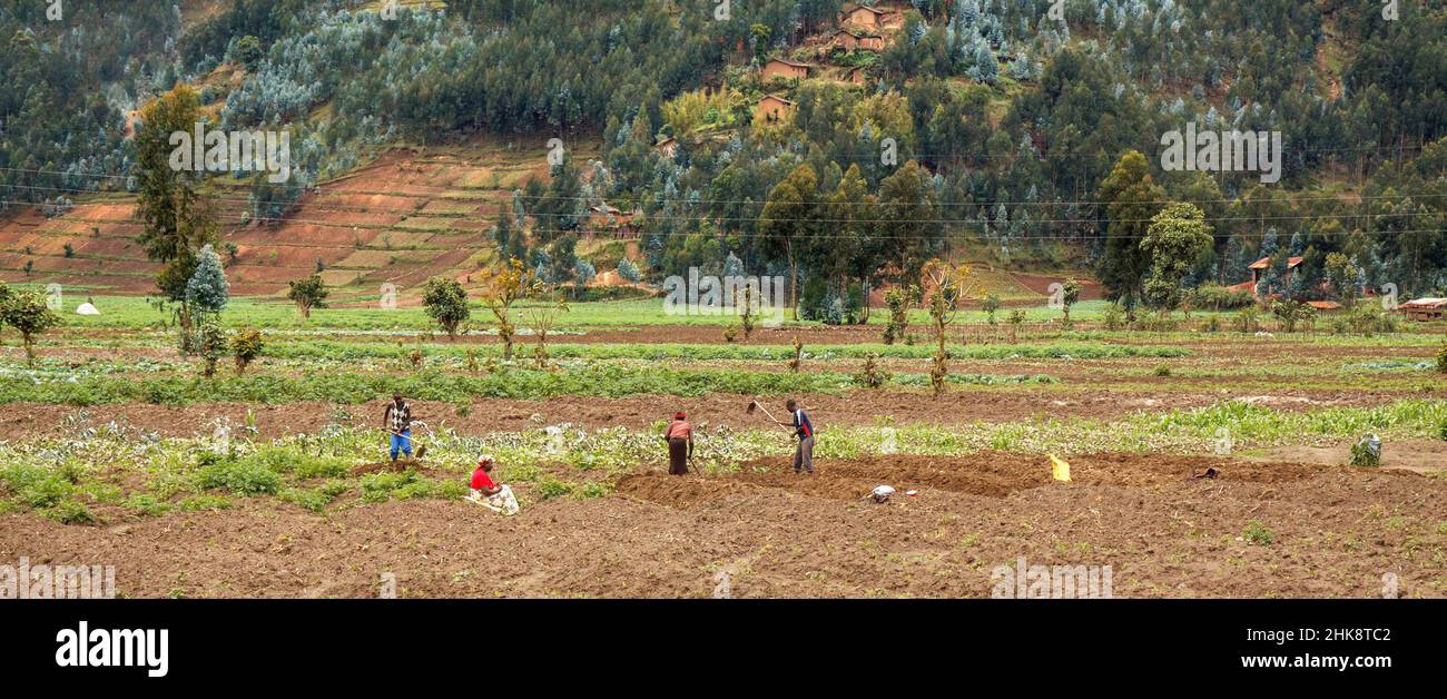 Rwanda rural houses hi-res stock photography and images - Alamy