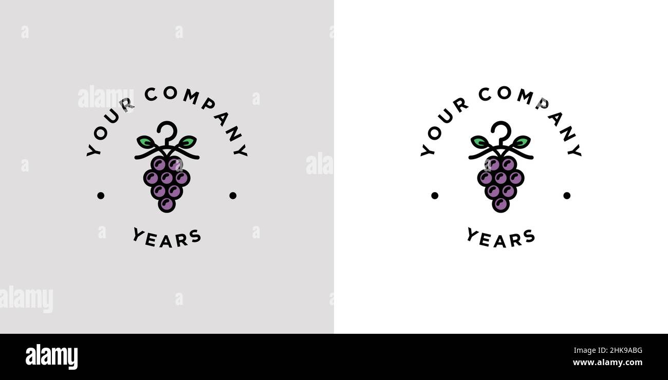 Unique and professional laundry logo design Stock Vector