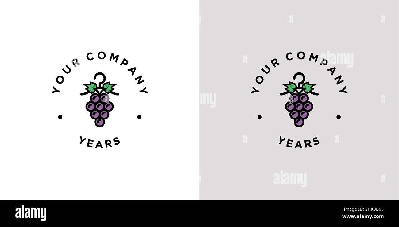 Unique and elegant laundry logo design Stock Vector