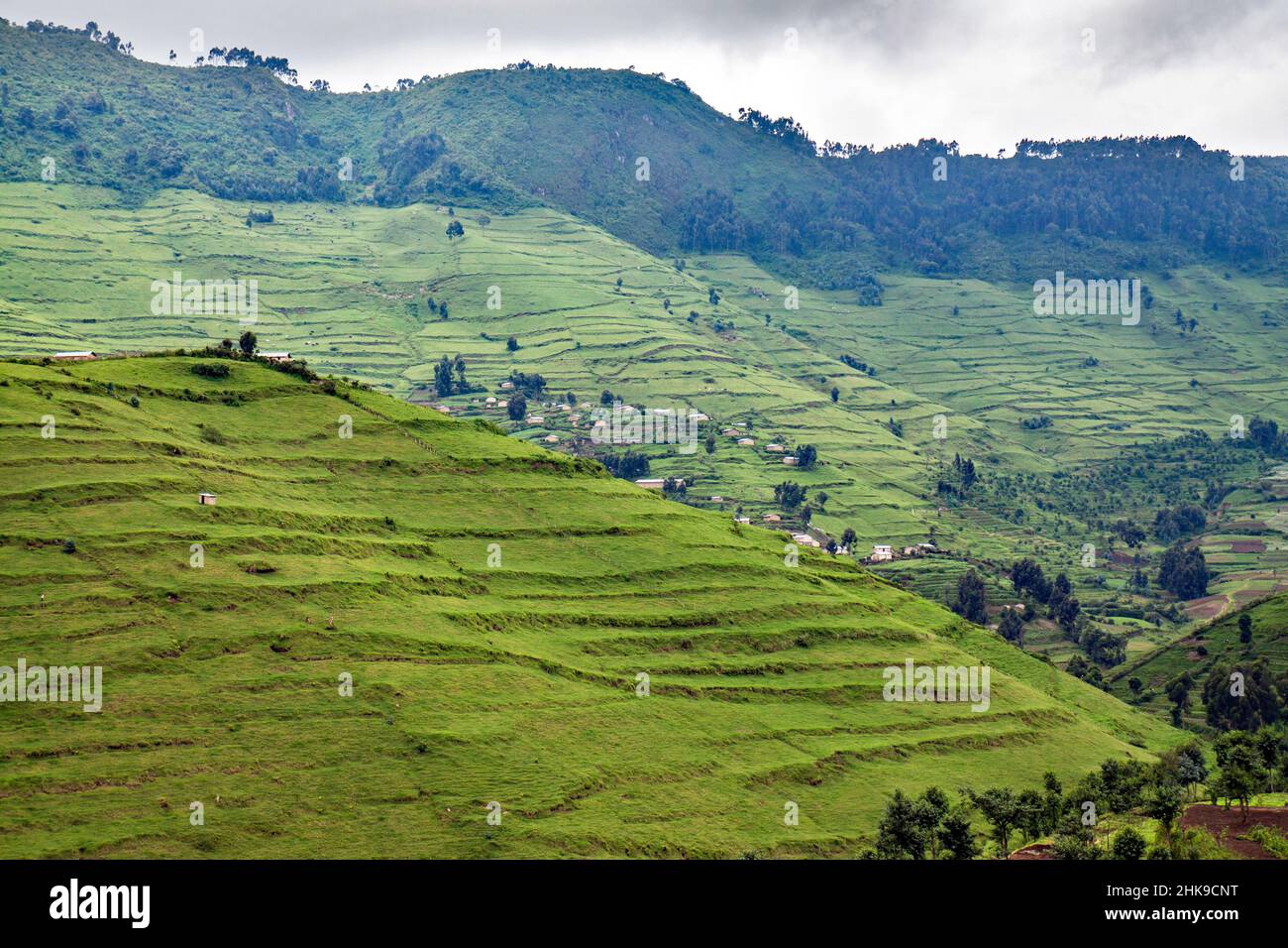 Deforested hills in Gishwati forest, Rwanda Stock Photo