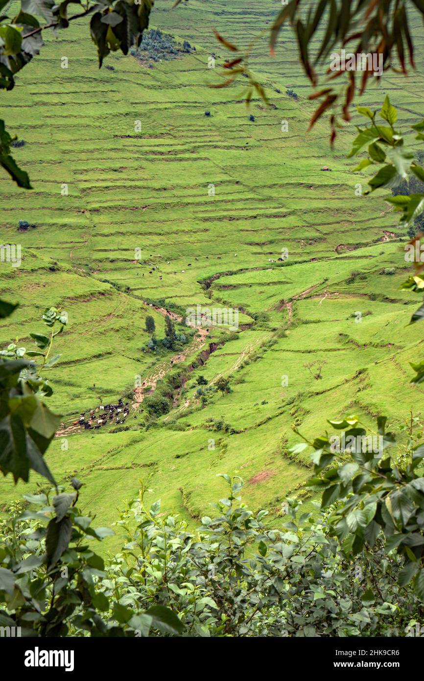 Deforested hills in Gishwati forest, Rwanda Stock Photo