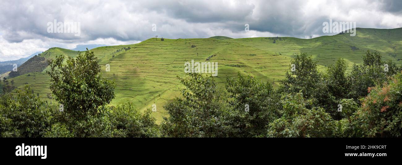 Deforested hills in Gishwati forest, Rwanda Stock Photo