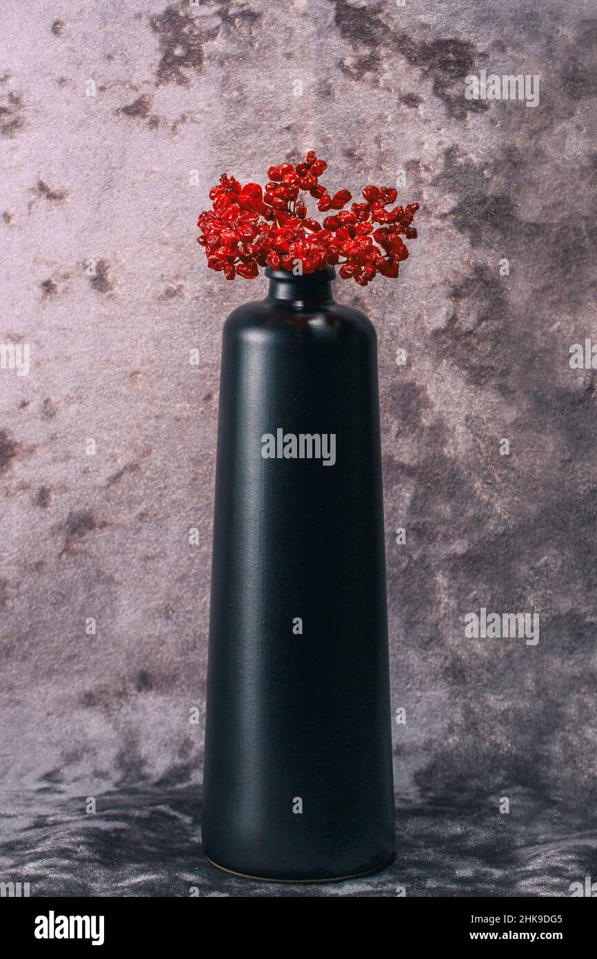 Still life with dried berries of red viburnum Stock Photo Alamy