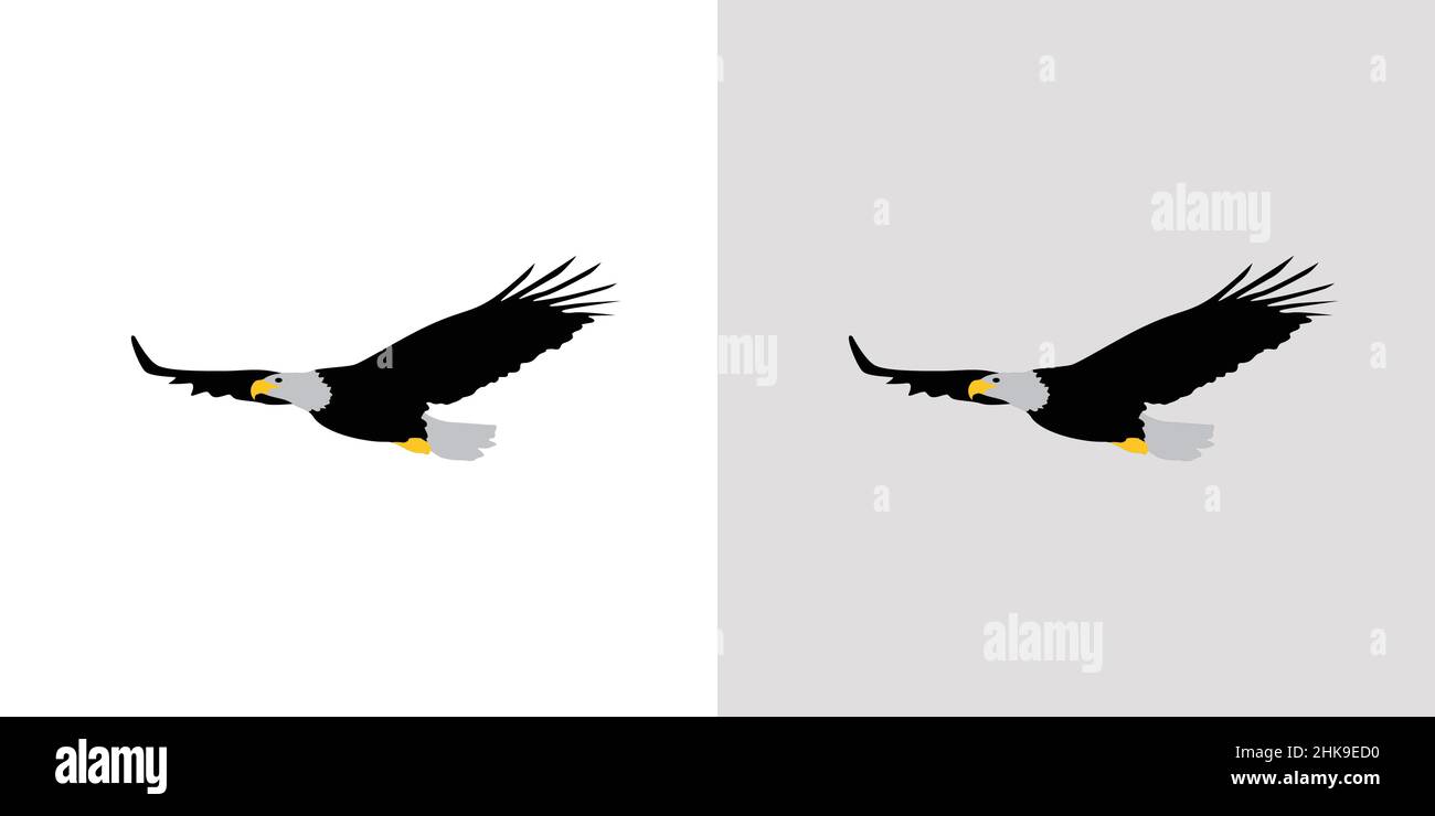 Elegant and beautiful eagle illustration vector Stock Vector