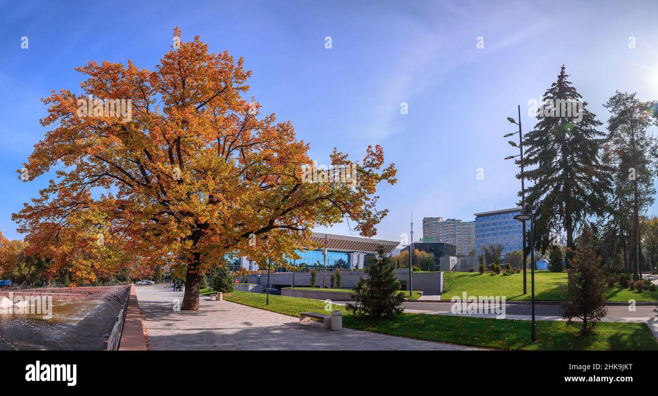 Almaty city center in the fall. /Almaty, Kazakhstan - October 24, 2018