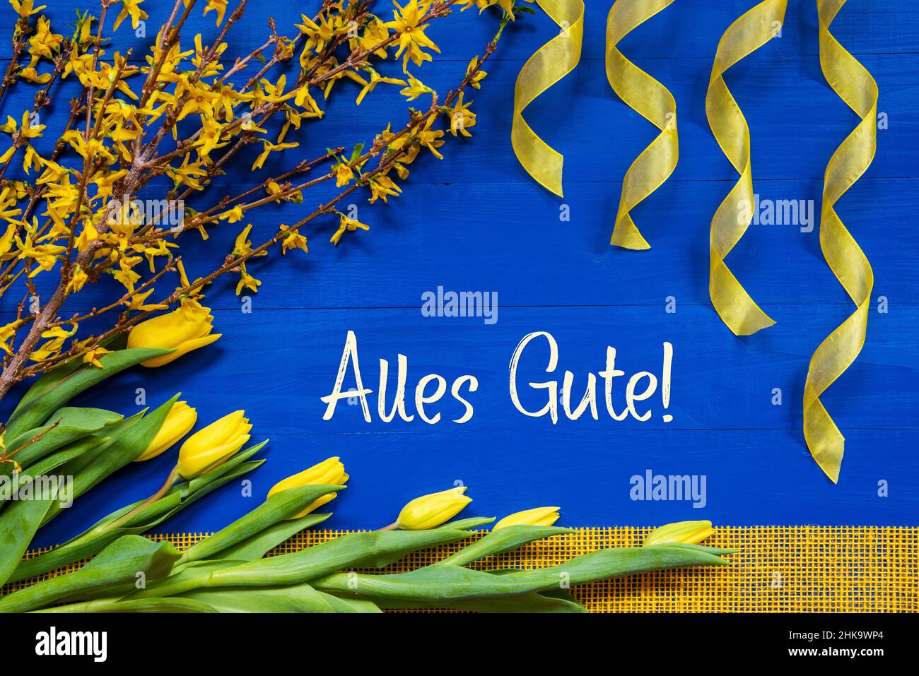 German Text Alles Gute Means Best Wishes. Yellow Spring Flowers Like Tulip And Branches. Festive Decoration With Ribbon. Blue Wooden Background Stock Photo