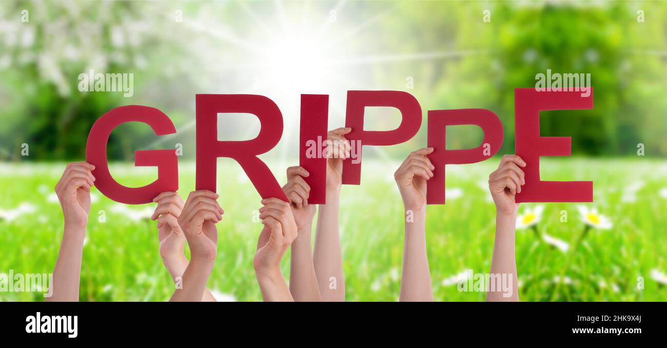 People Hands Holding Red German Word Grippe Means Flu. Sunny Green Grass Meadow As Background Stock Photo