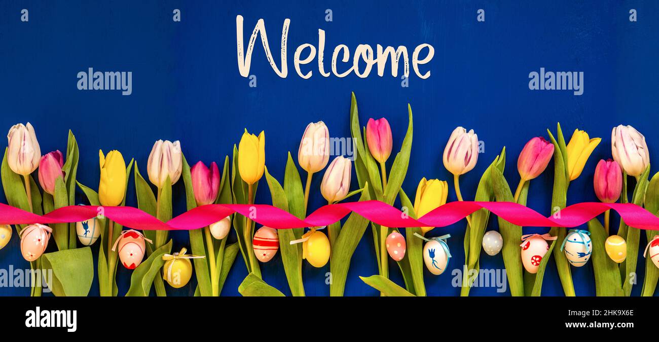 English Text Welcome. Banner Of White And Pink Tulip Spring Flowers With Ribbon And Easter Egg Decoration. Blue Wooden Background Stock Photo