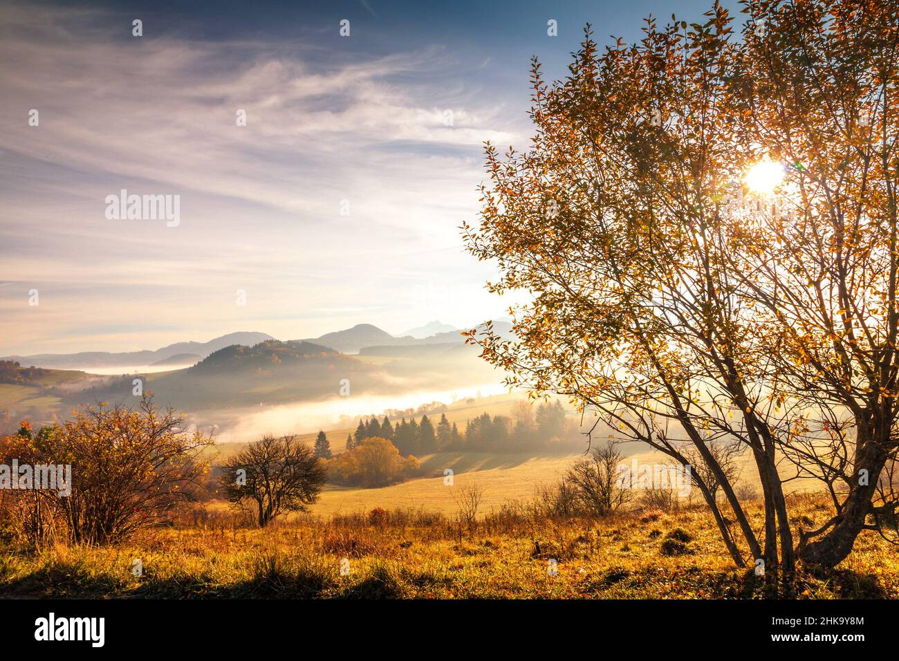 Backlight and light and weather tourism hi-res stock photography and ...