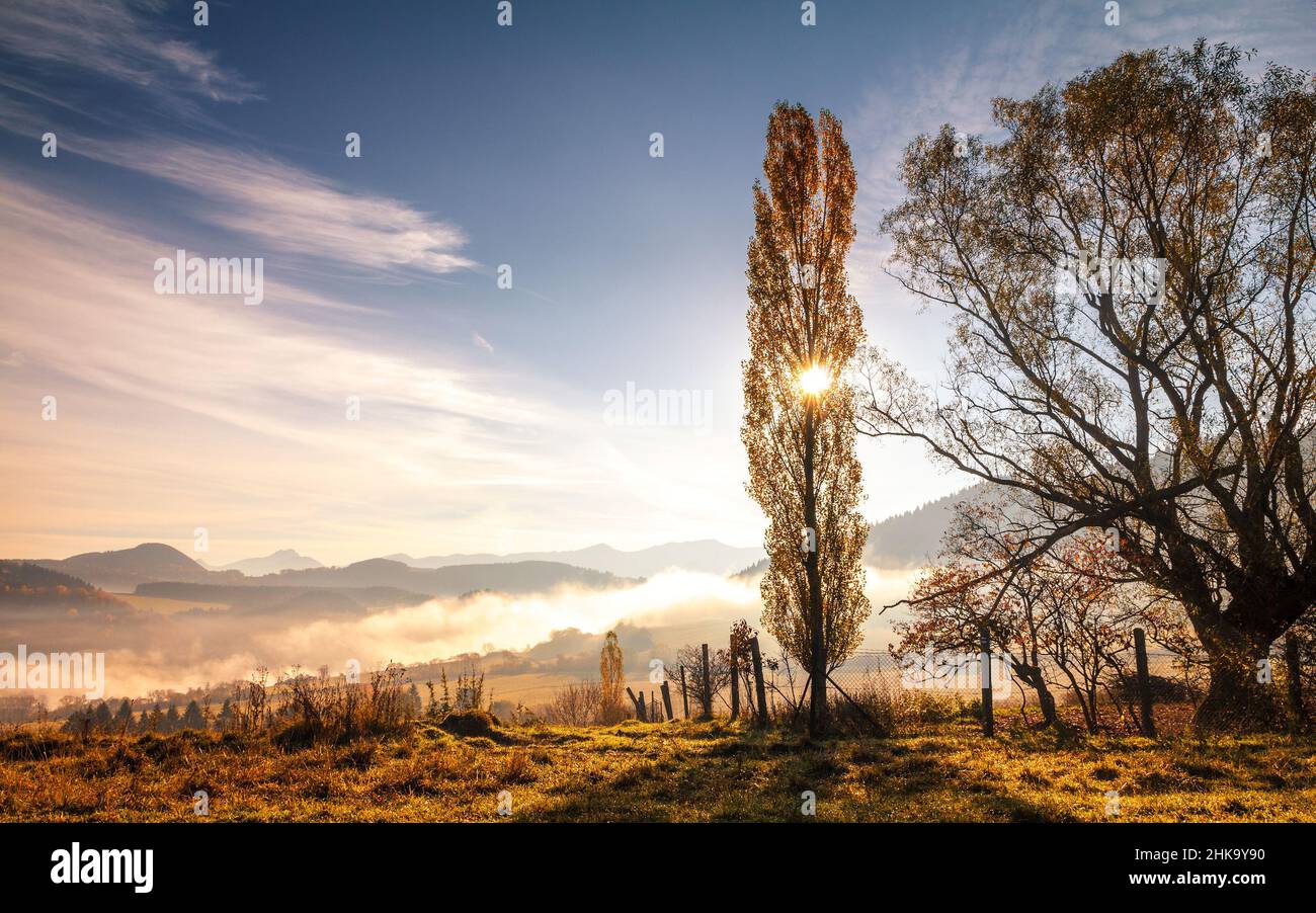 Backlight Sun Mountain landscape in the morning with the backlight of sun in the ...