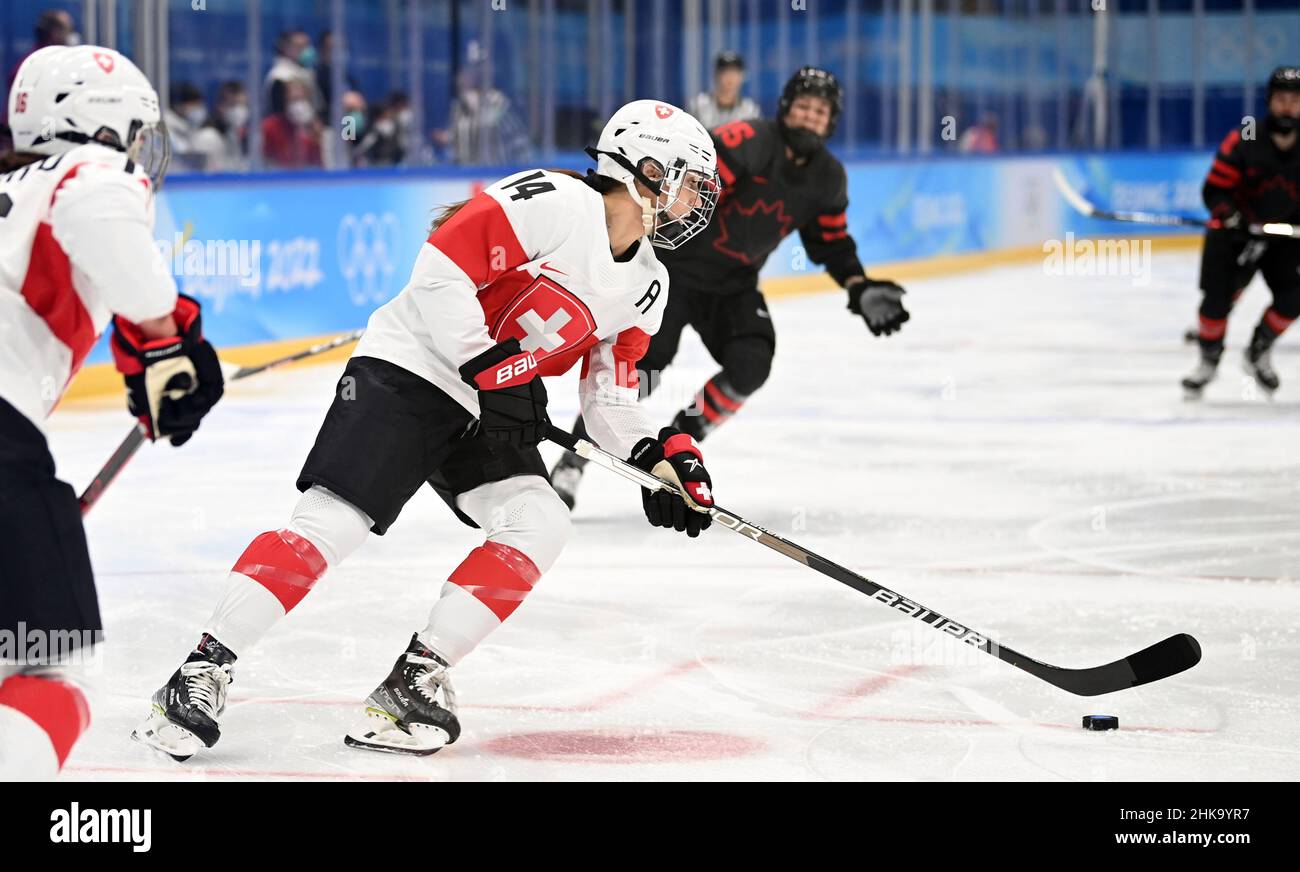 Beijing, China. 3rd Feb, 2022. Evelina Raselli (2nd L) of Switzerland controls the puck during the women's ice hockey preliminary round Group A match between Canada and Switzerland at National Indoor Stadium in Beijing, China, Feb. 3, 2022. Credit: Li Ziheng/Xinhua/Alamy Live News Stock Photo