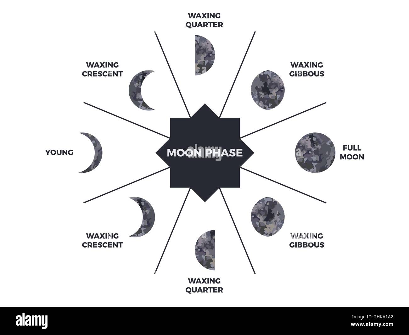Moon phase. Textured surface of the moon. Lunar phases throughout the