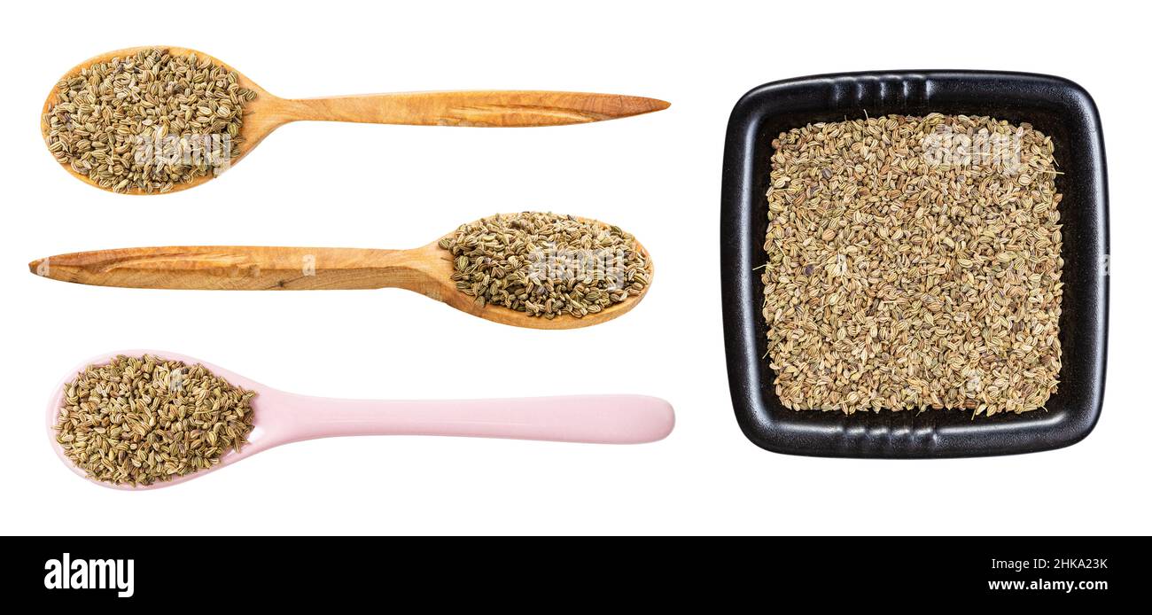 set of various ajwain ( ajowan caraway) seeds isolated on white