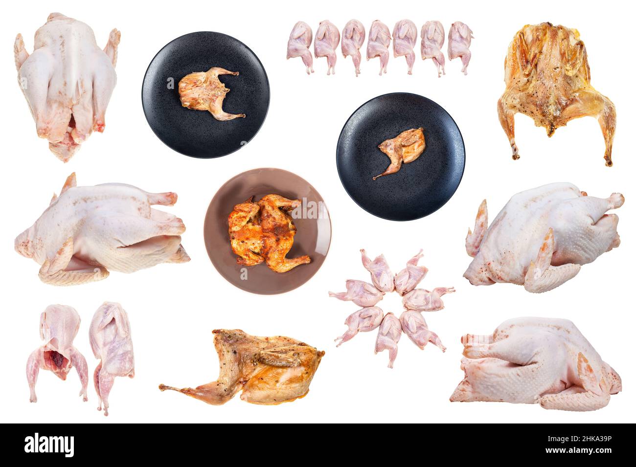 set of various chickens and quails isolated on white background Stock Photo