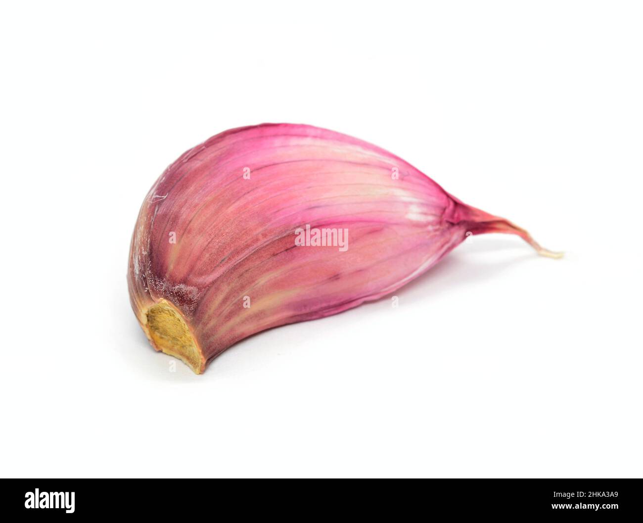 Closeup of a one clove of garlic on white background. Stock Photo