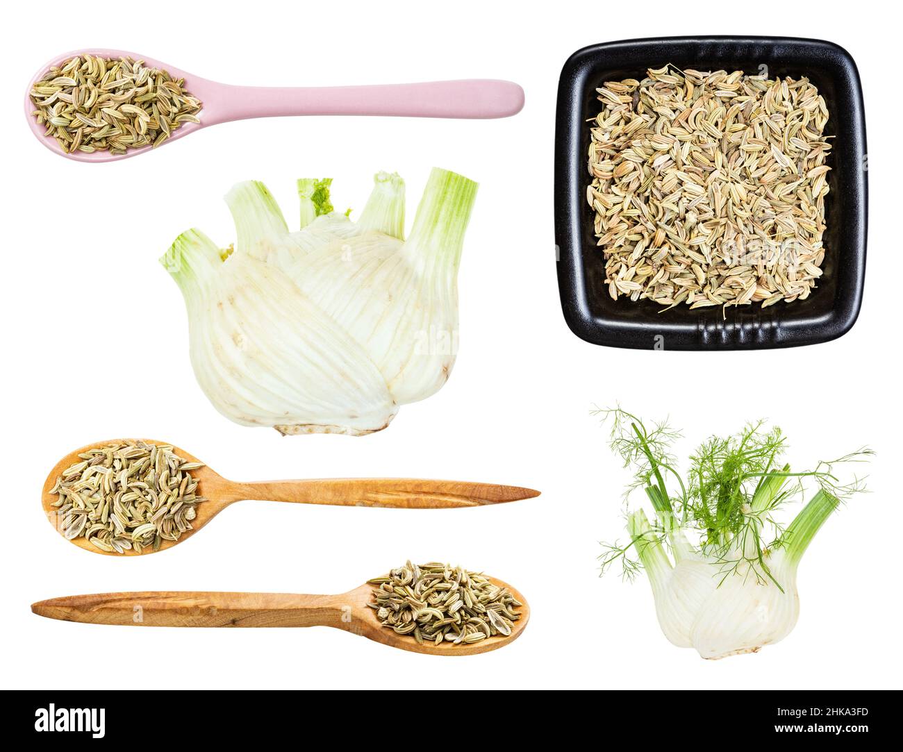 set of fennel stalk and seeds isolated on white background Stock Photo