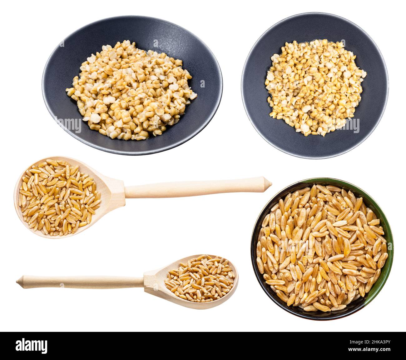 set of various kamut khorasan wheat grains isolated on white background ...