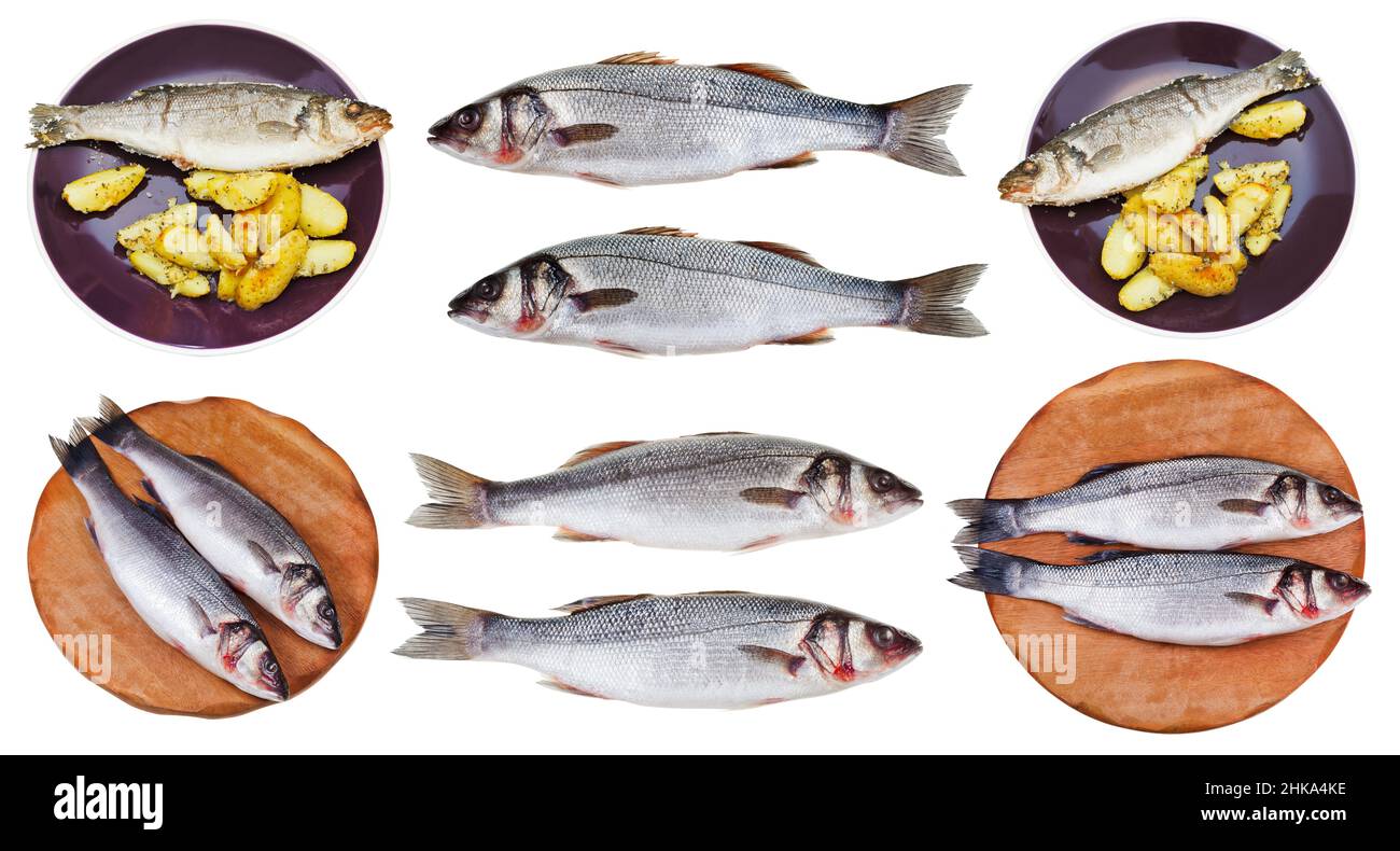 set of various raw and baked sea bass fishes isolated on white background Stock Photo