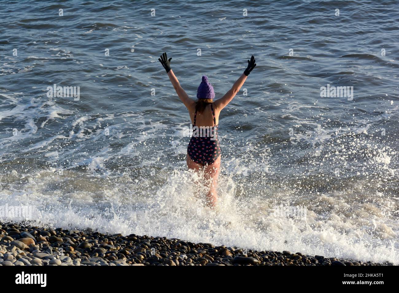 A woman cold water swimming winter sea swimming Amroth beach Pembrokeshire in January Stock Photo