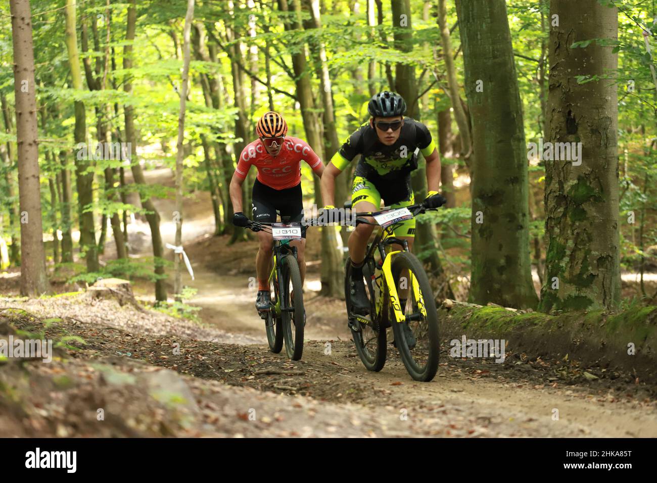 7R CST MTB Gdynia Marathon, Gdynia, Poland - 20 Sep 2020: XCM Polish Championship. The competitors racing along the forest roads of the Tricity Landsc Stock Photo
