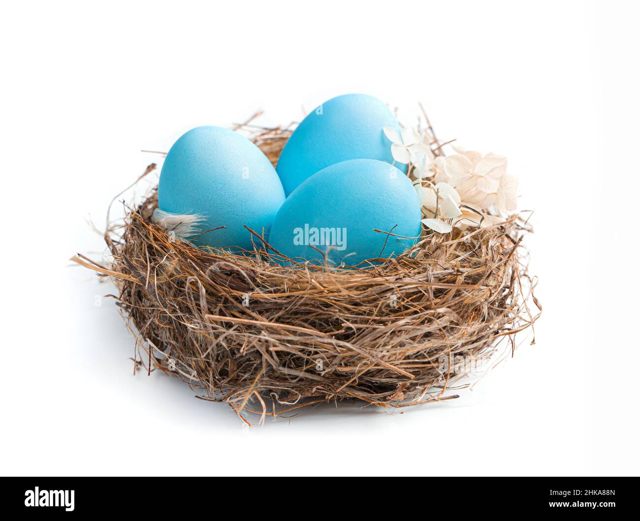 Three blue eggs in a nest isolated on a white background. Side view, close-up. Easter concept, Easter eggs. Stock Photo