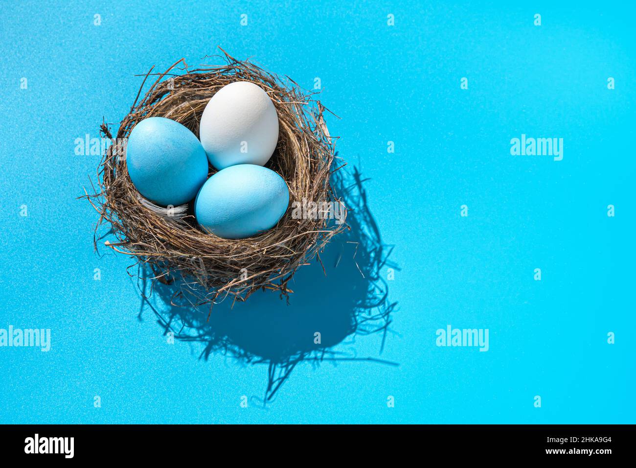 Three Easter eggs in a nest with a hard shadow on a blue background. Easter background. Side view. Stock Photo