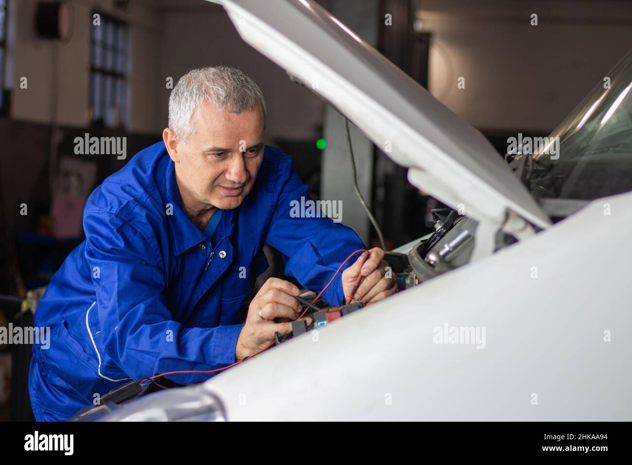 Specialist of service for repairing wiring and computer diagnostics car