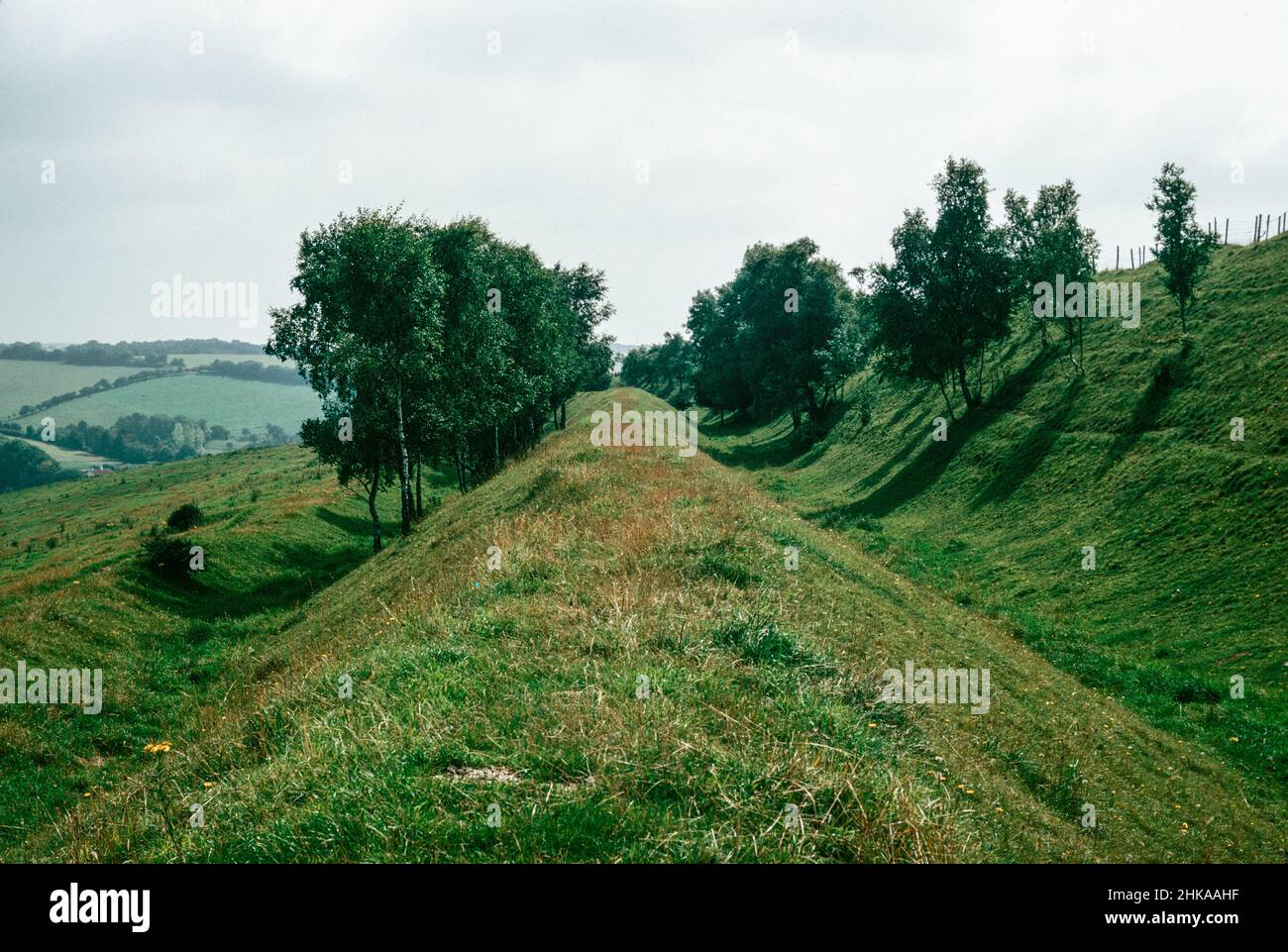 Hod Hill - Iron Age then Roman fort in the Blackmore Vale, Dorset ...