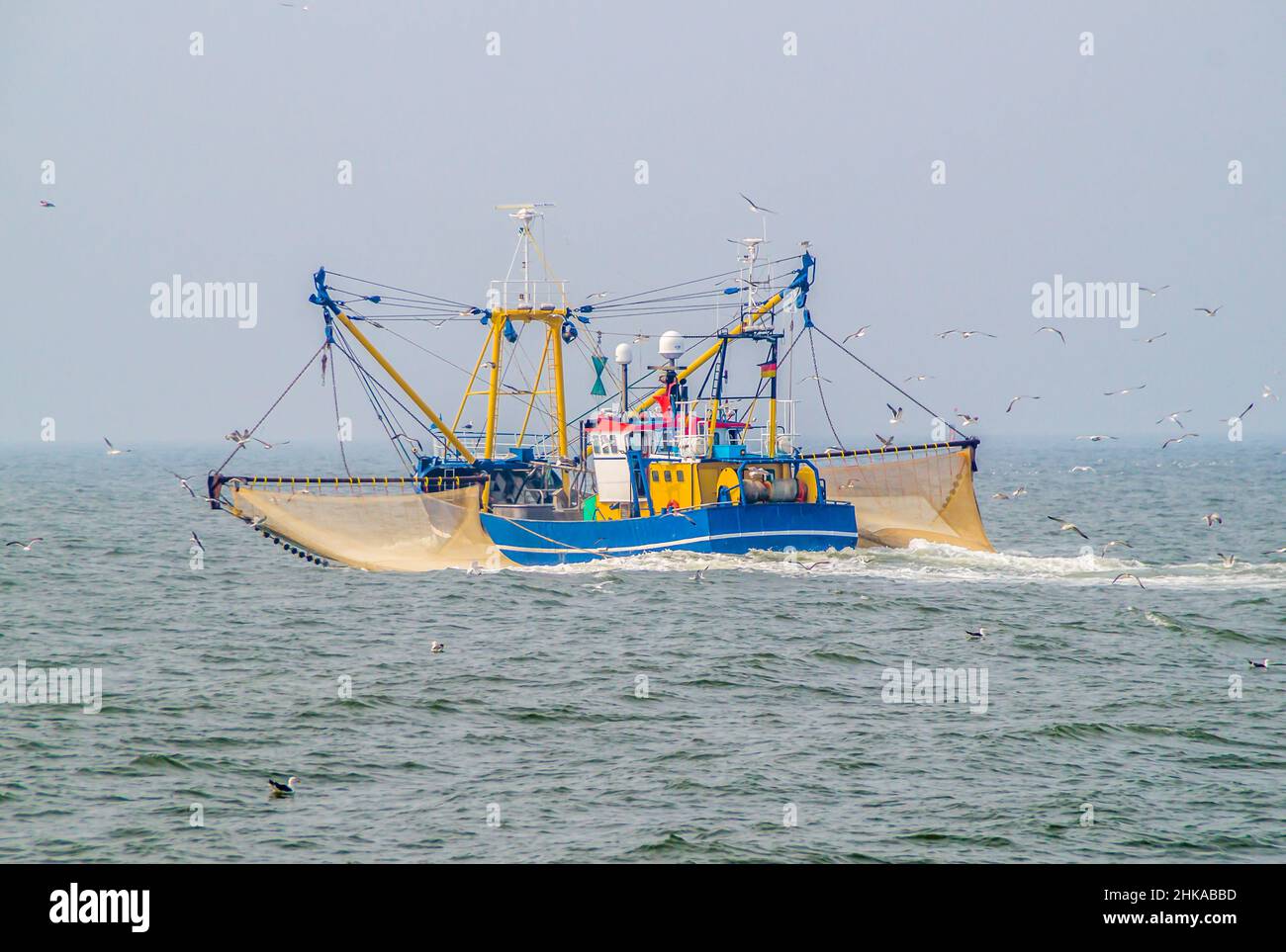 Shrimp cutter on the North Sea Stock Photo