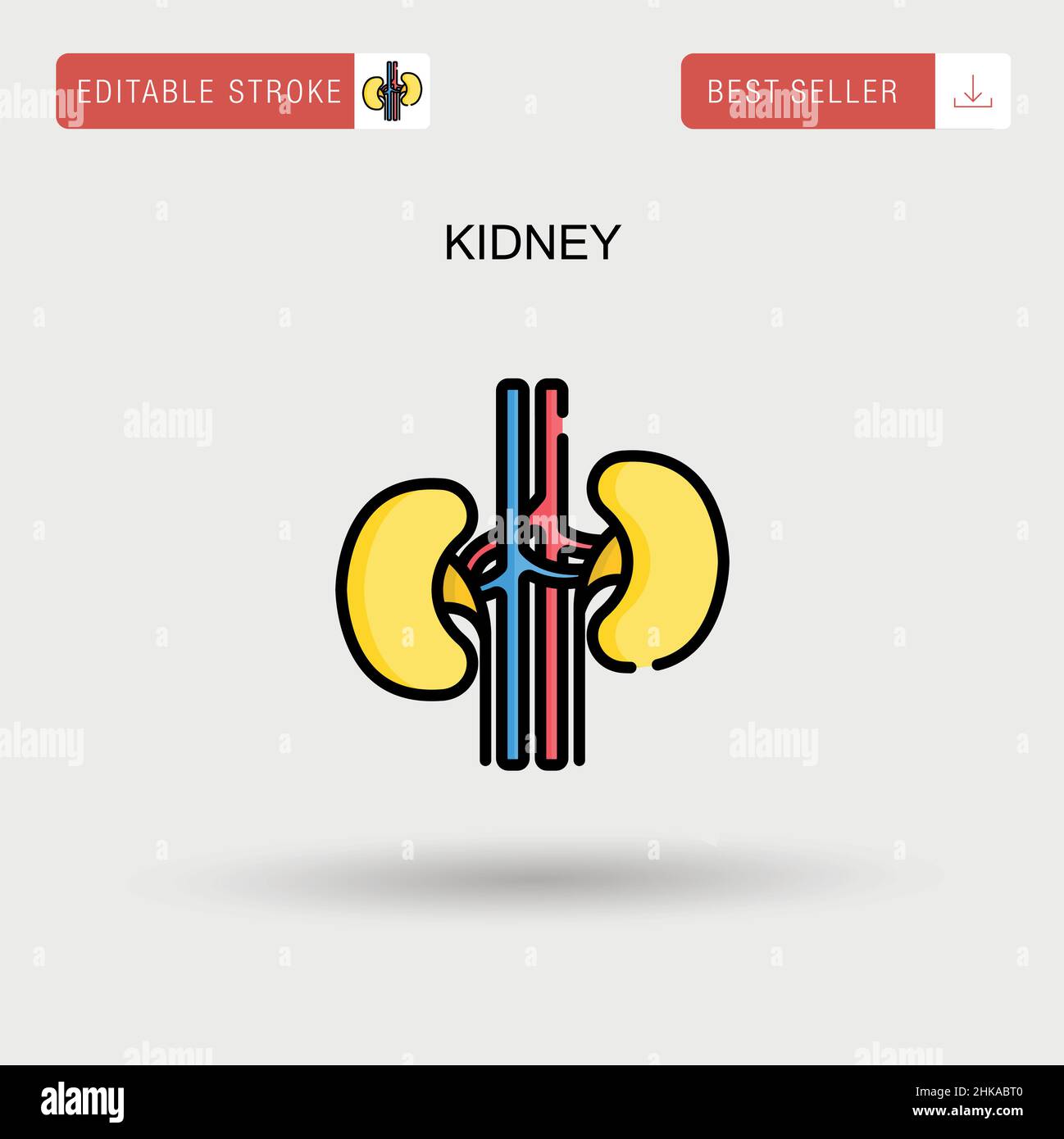 Kidney Simple vector icon. Stock Vector