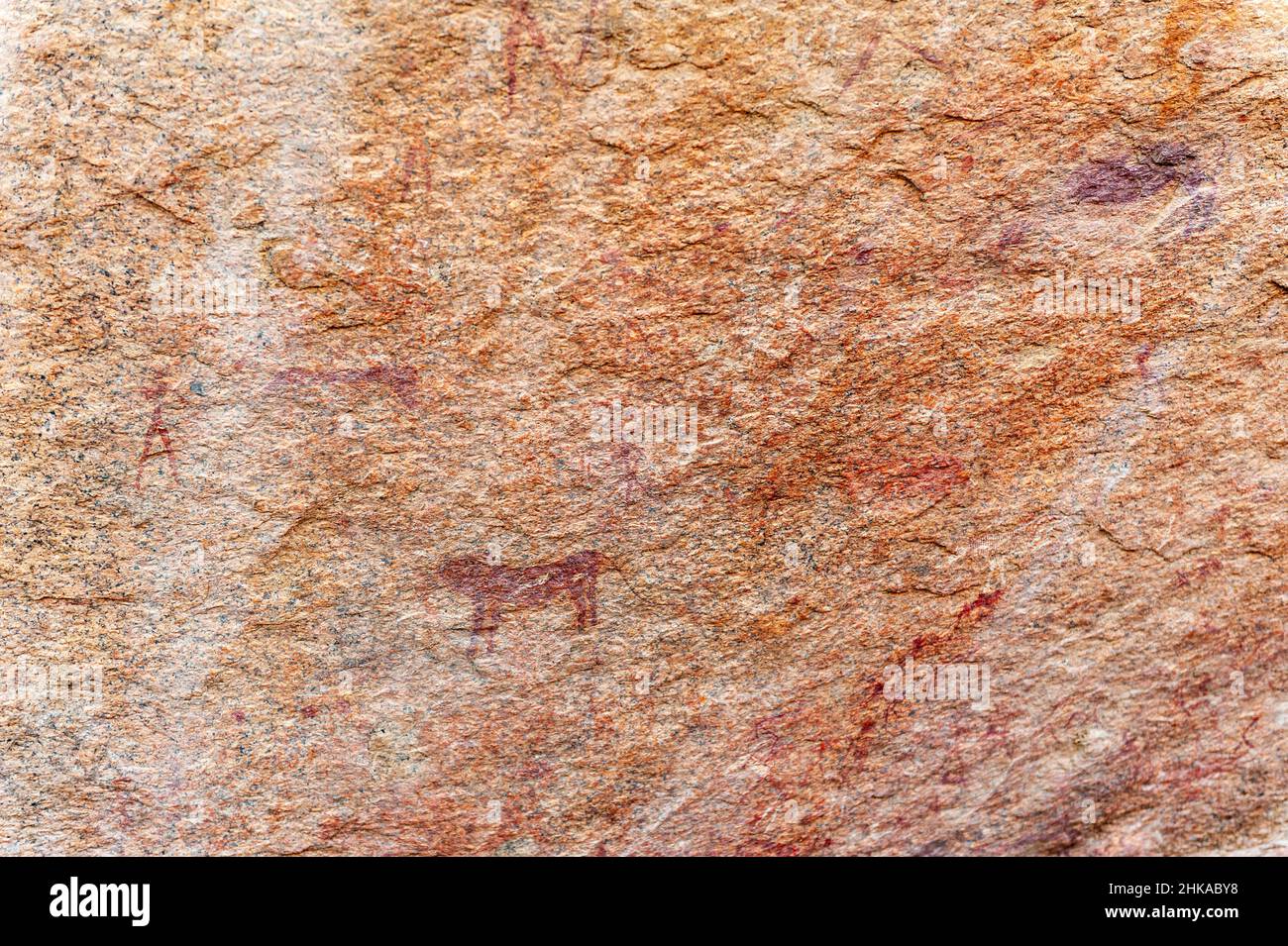 Detail of the prehistoric rock paintings of the San People in Western Namibia, near Spitzkoppe. Stock Photo