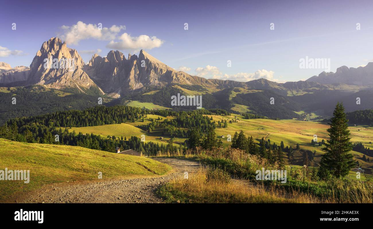 Alpe di Siusi or Seiser Alm, Dolomites Alps Sassolungo and Sassopiatto mountains and pathway, Trentino Alto Adige Sud Tyrol, Italy, Europe Stock Photo