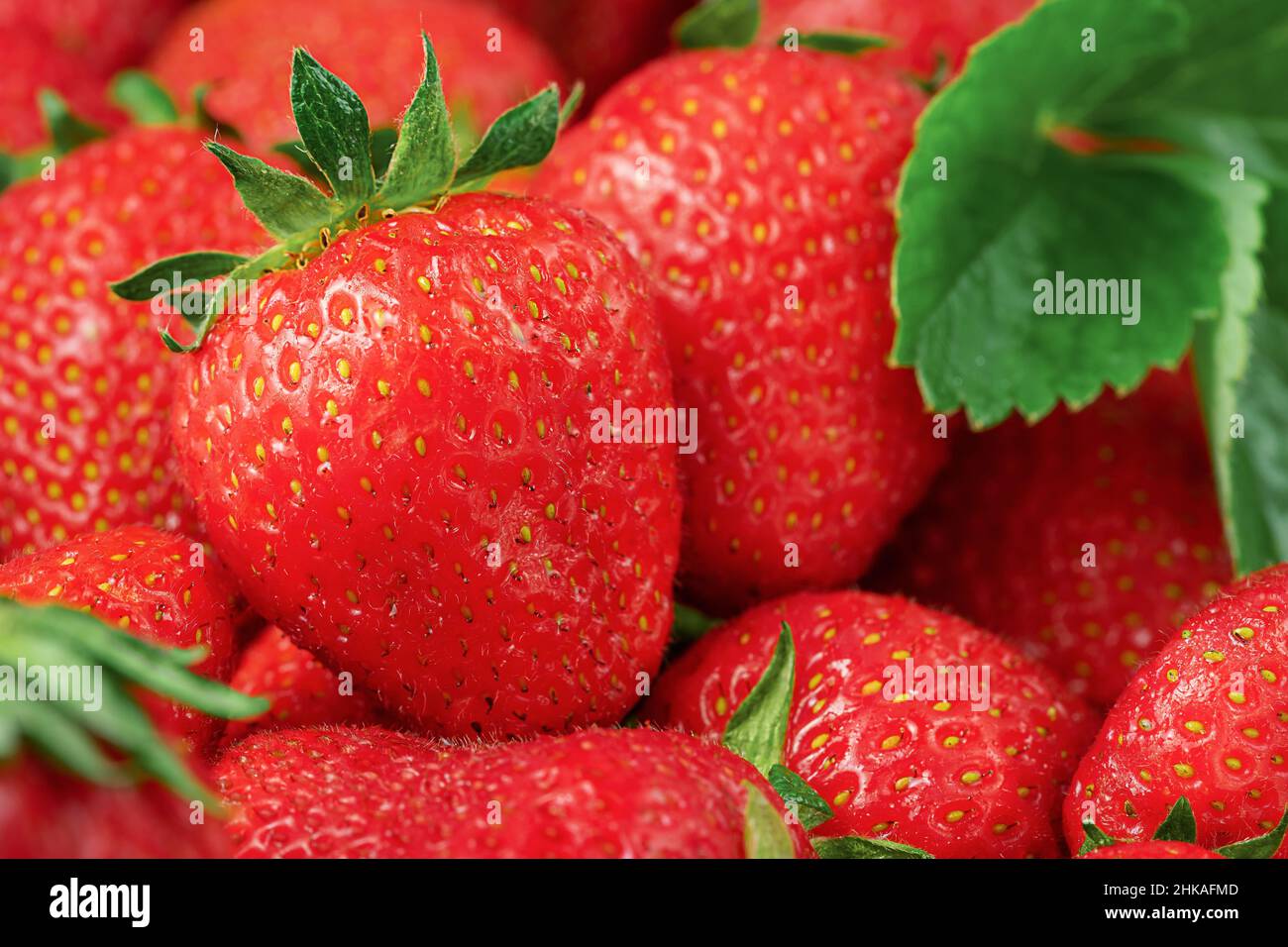 Summer background of fresh ripe strawberries. Close up Stock Photo - Alamy