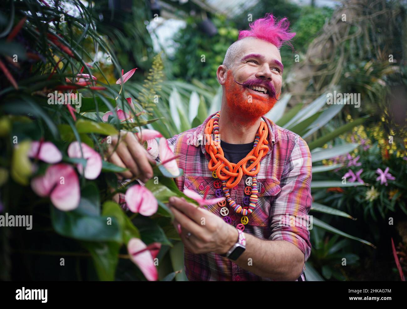 Henck Roling, in-house florist at Kew, poses with Anthurium, also known as the flamingo flower, at the Kew Orchid Festival: Costa Rica, at the Royal Botanic Gardens in Kew, west London. Picture date: Thursday February 3, 2022. Stock Photo