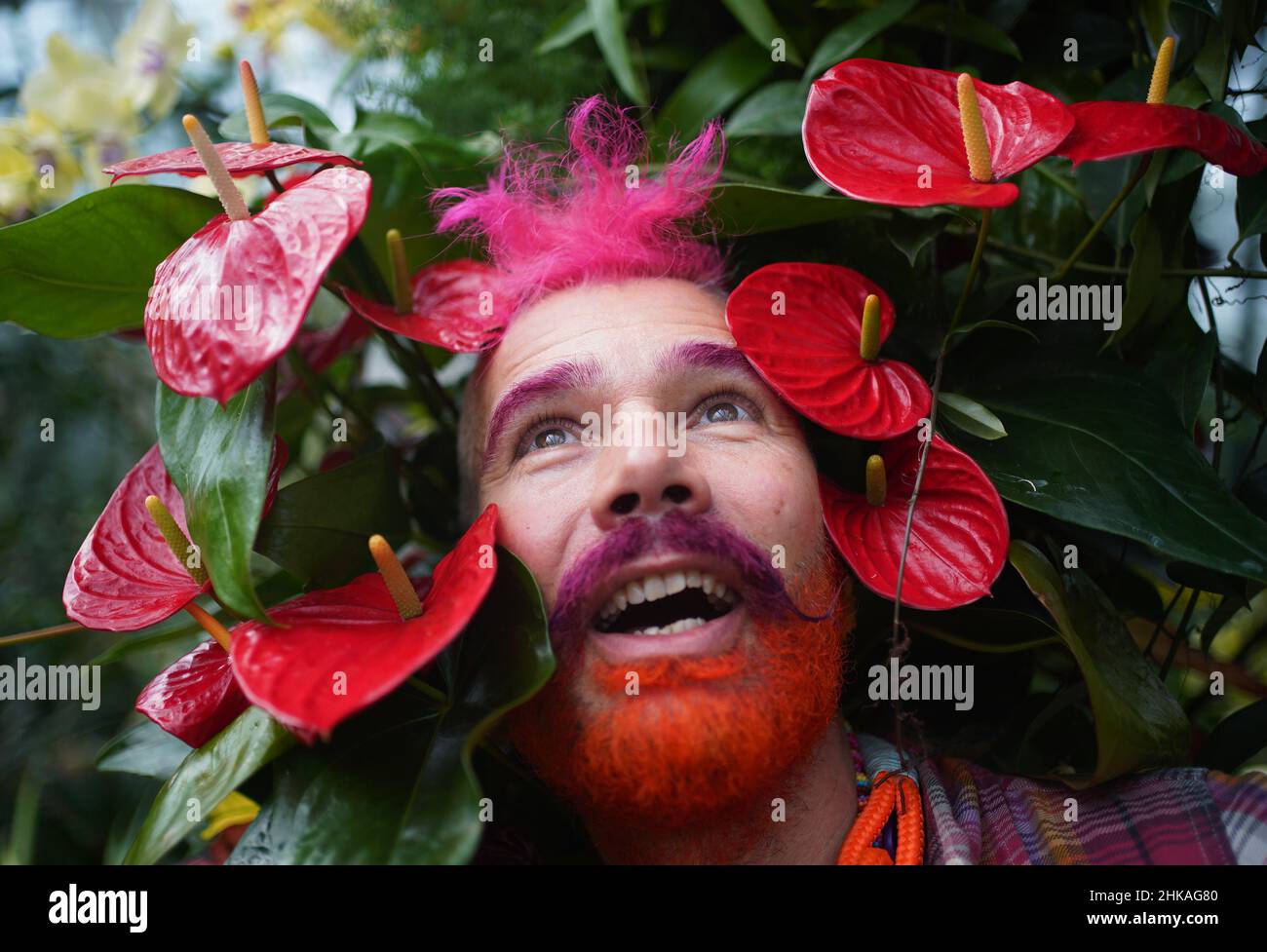 Henck Roling, in-house florist at Kew, poses with Anthurium, also known as the flamingo flower, at the Kew Orchid Festival: Costa Rica, at the Royal Botanic Gardens in Kew, west London. Picture date: Thursday February 3, 2022. Stock Photo