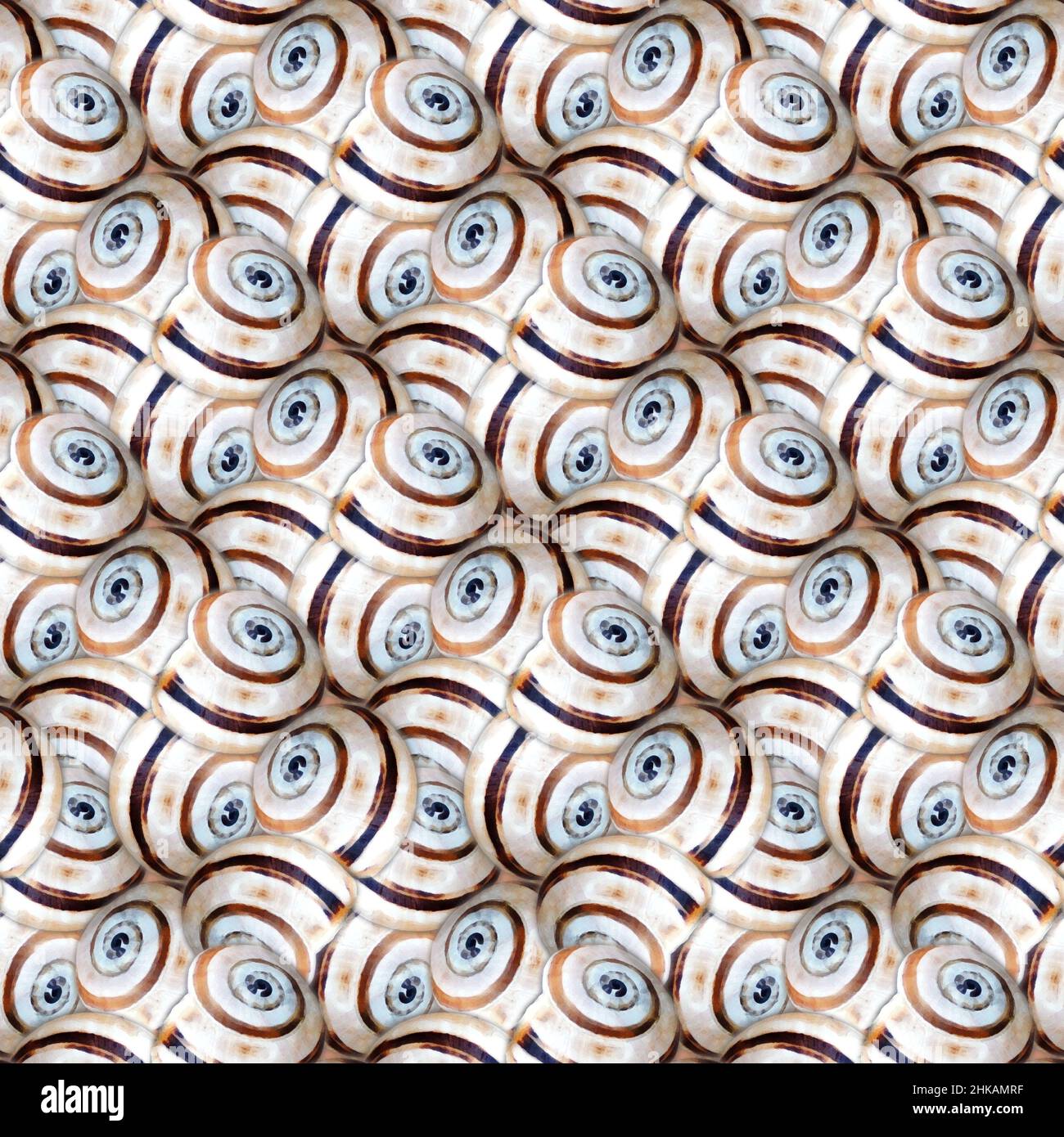 Screamless Patterns Animal shell pattern seamless hi-res stock photography and images - Alamy
