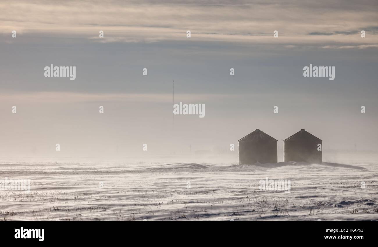 Grain Bins in Blowing Smpw Stock Photo Alamy