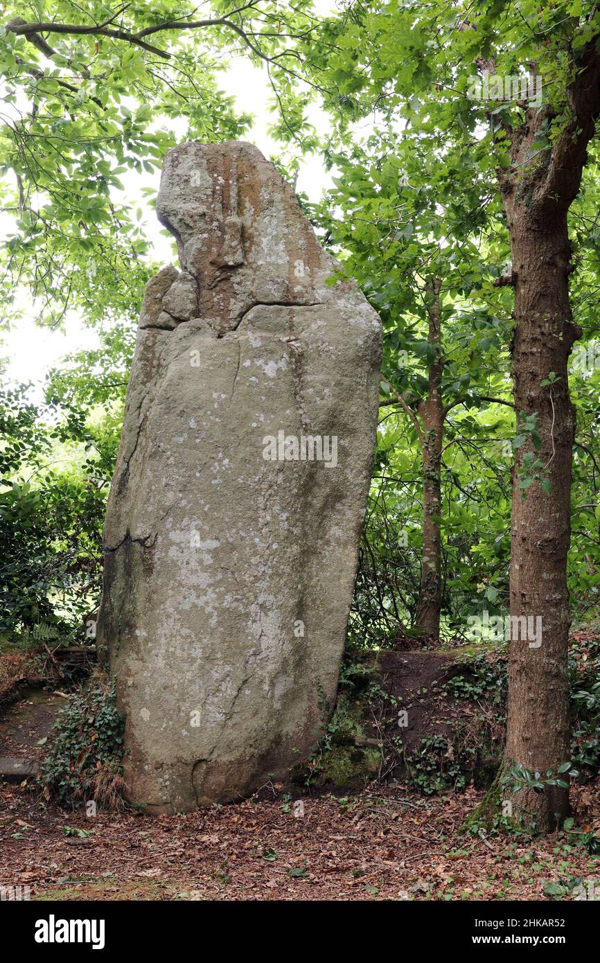 Menhir La Bonne Femme - in English The Good Woman - in Veades near Trebeurden in Brittany, France Stock Photo