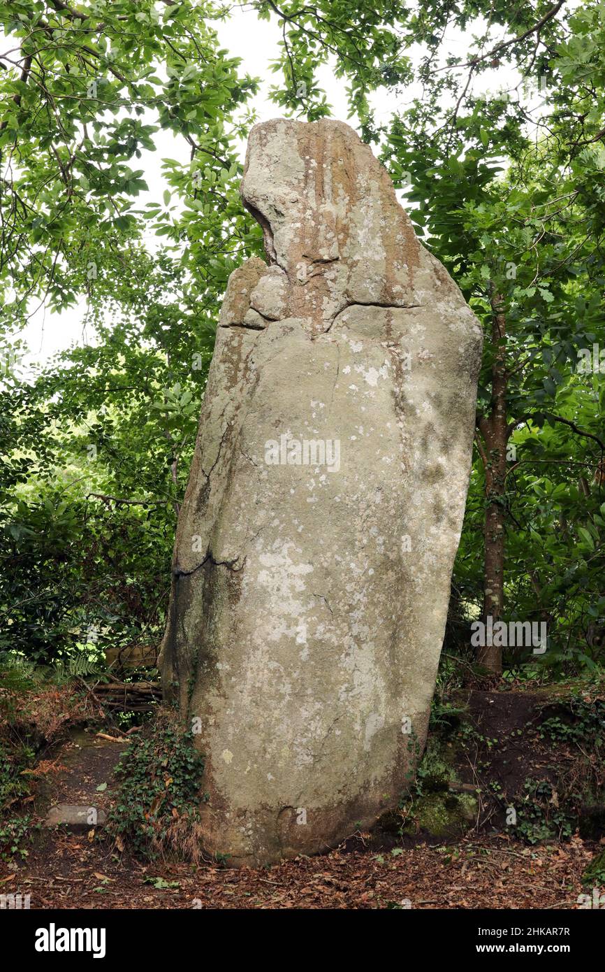 Menhir La Bonne Femme - in English The Good Woman - in  Veades near Trebeurden in Brittany, France Stock Photo