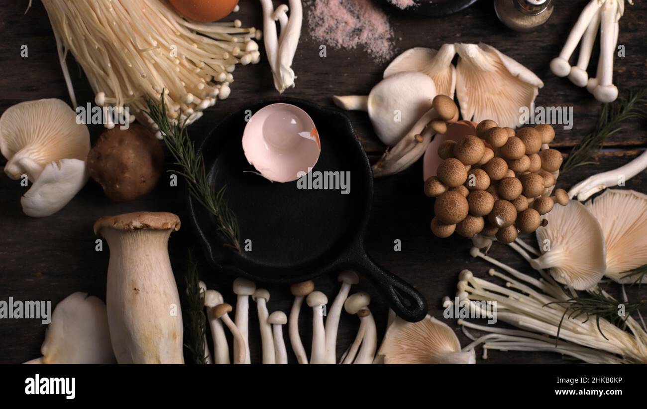 Various Raw Mushroom Types Portobello Mushrooms, Champignons, Shimeji