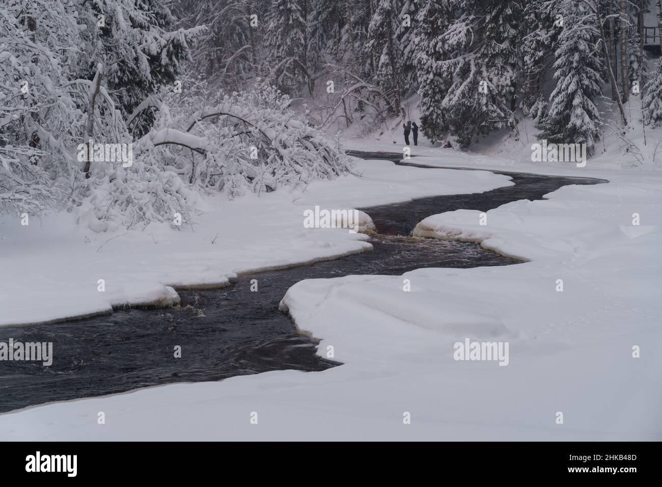 Rapid raging river flowing through snowy forest on cold winter gloomy day Stock Photo
