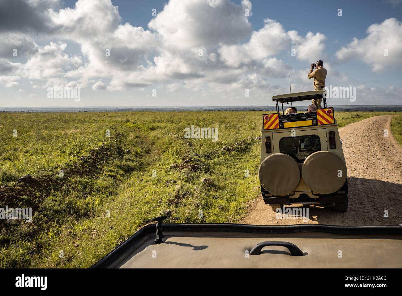 A local safari guide standing on top of his vehicle looking through